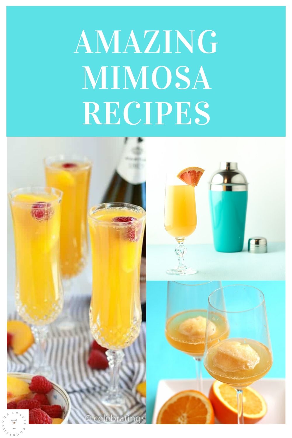 amazing mimosa recipes